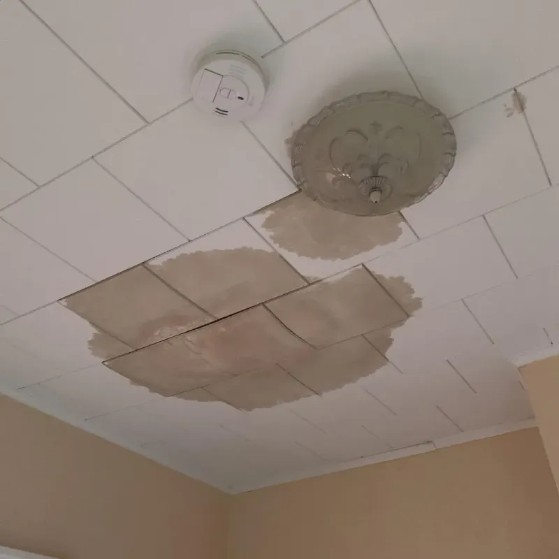 Ceiling Water Damage Repair in Riverside, IA
